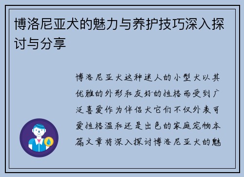 博洛尼亚犬的魅力与养护技巧深入探讨与分享