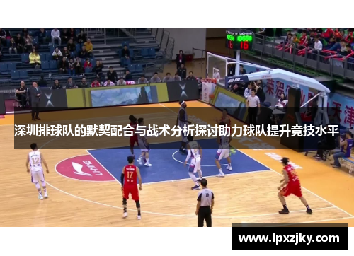 深圳排球队的默契配合与战术分析探讨助力球队提升竞技水平