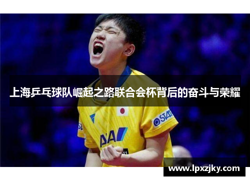 上海乒乓球队崛起之路联合会杯背后的奋斗与荣耀