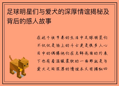 足球明星们与爱犬的深厚情谊揭秘及背后的感人故事